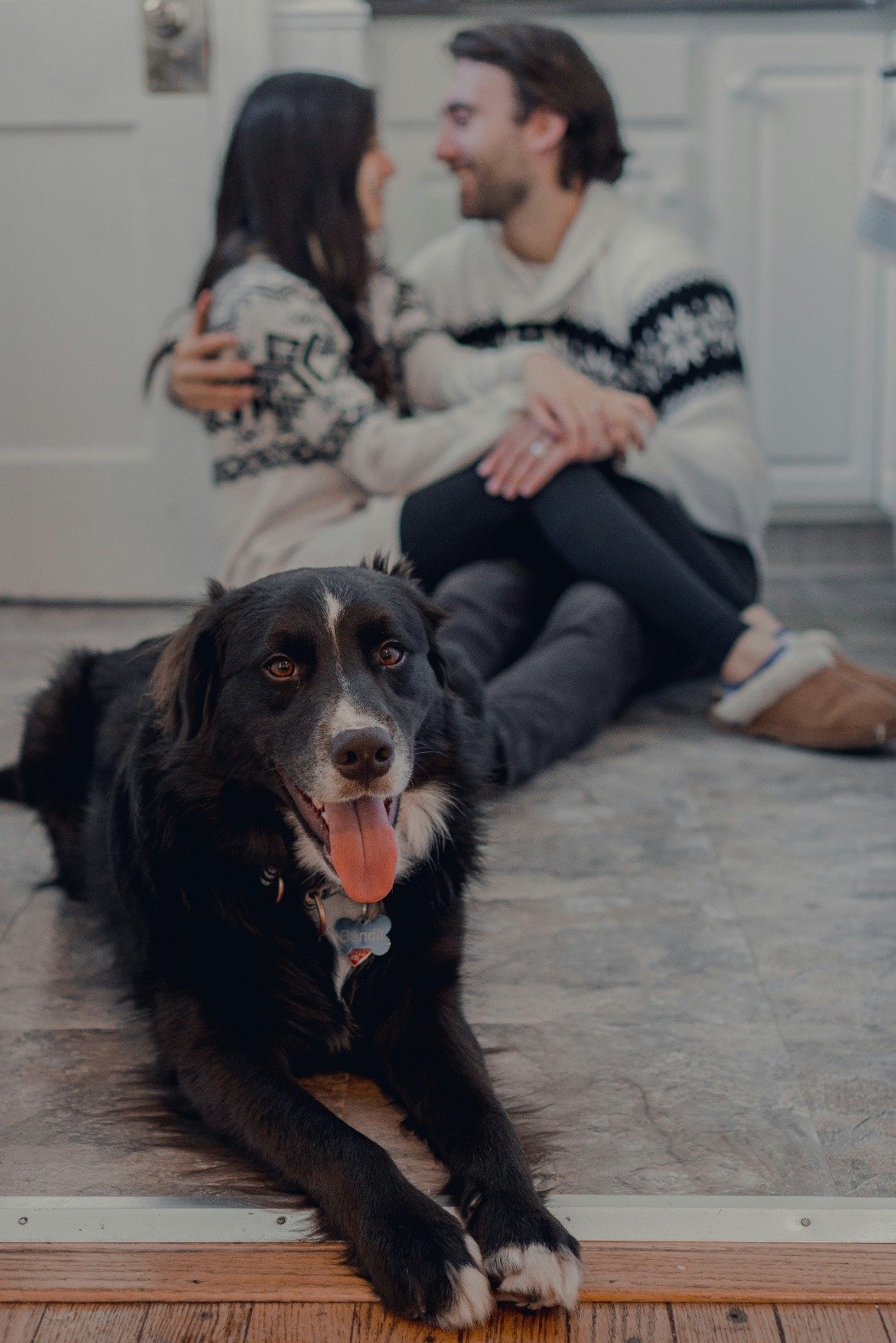 radonators radon testing calgary couple